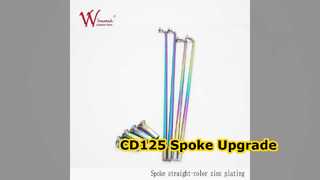 CD125 Motorradspeichensatz aus gedrehtem Stahl